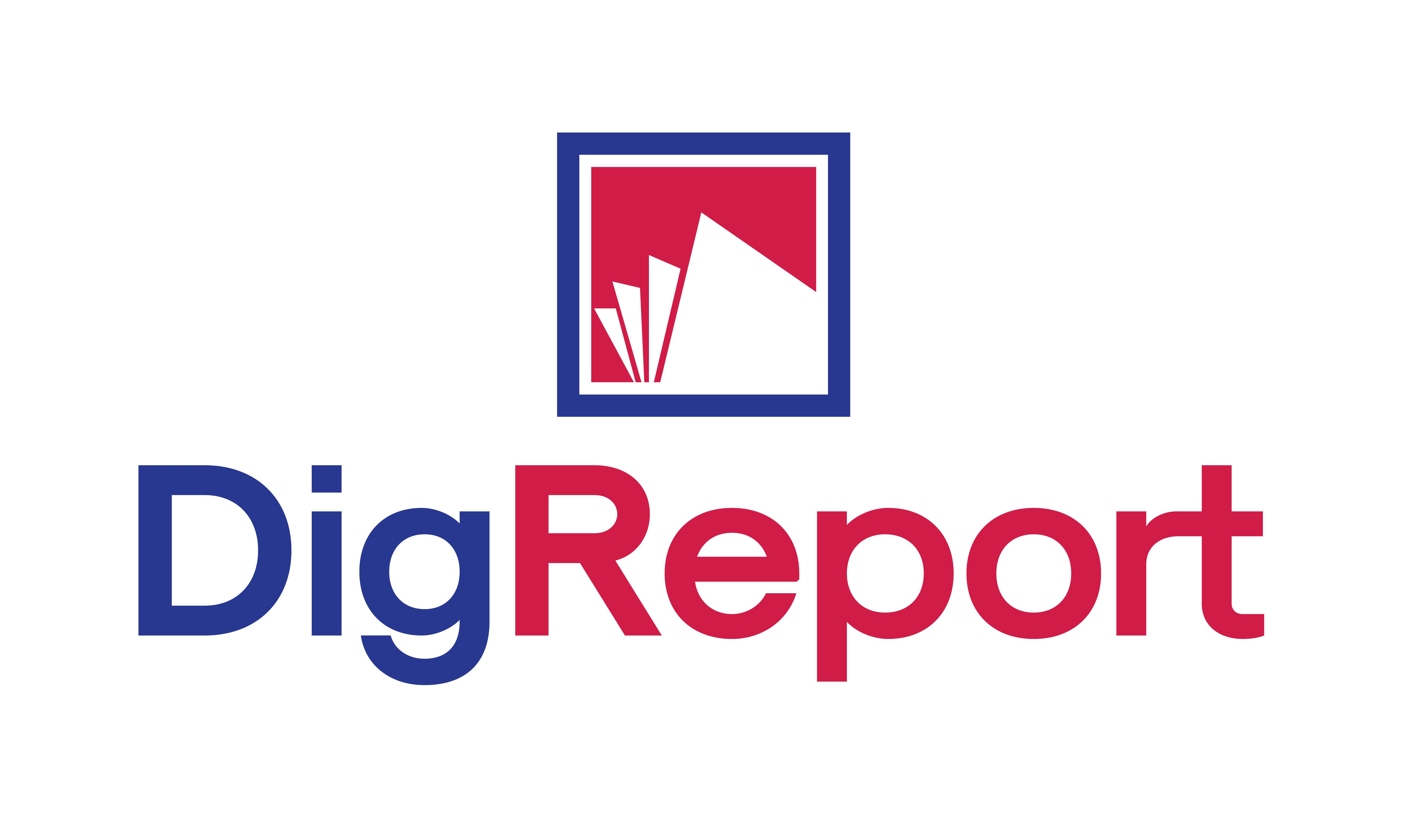 DigReport logo